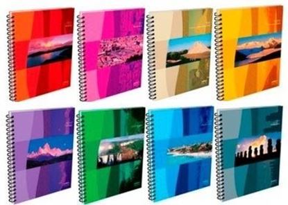 Foto de Cuaderno espiralado 16x21 tapa flexible 80 hojas rayadas América