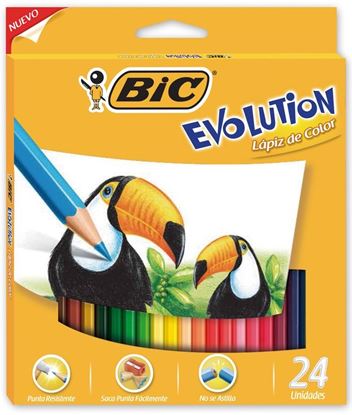 Foto de Lápices color Bic Evolution largos x24